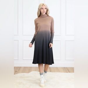 NWT Udel Dip Dye Turtleneck Dress